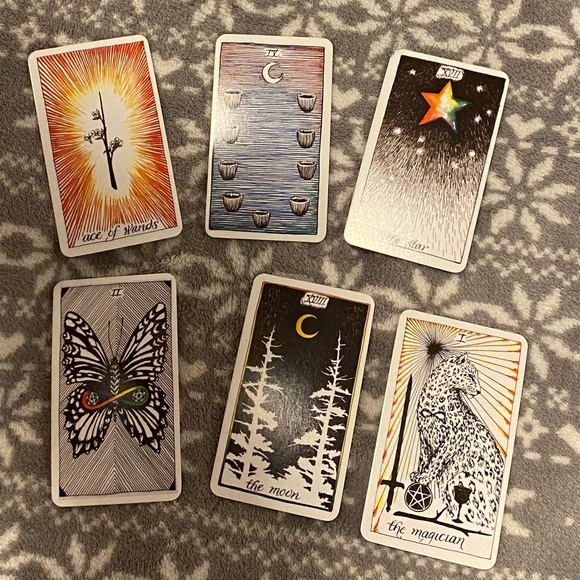 The Wild Unknown Tarot Card - Picture 2 of 2